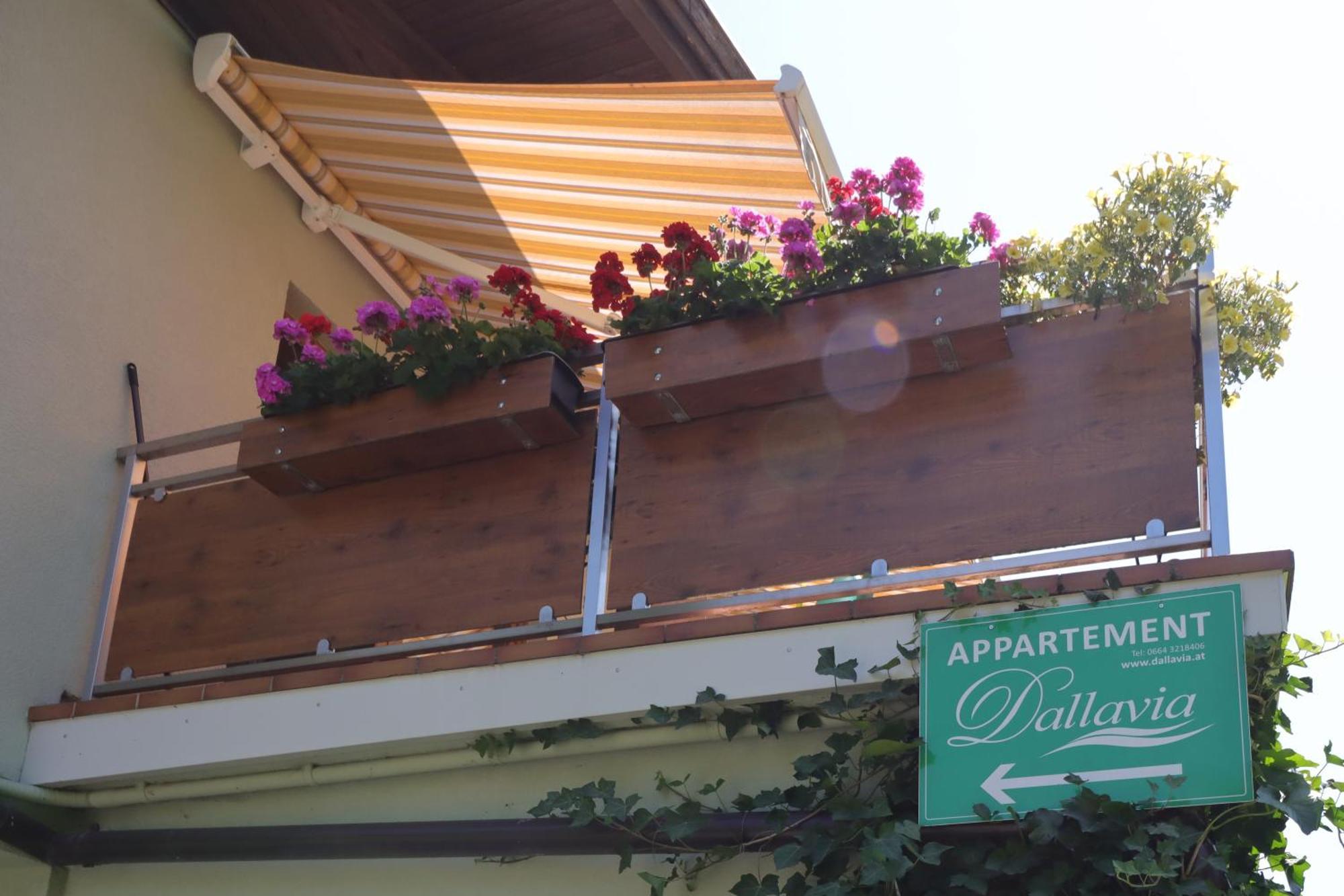 Appartement Dallavia Unterleibnig エクステリア 写真