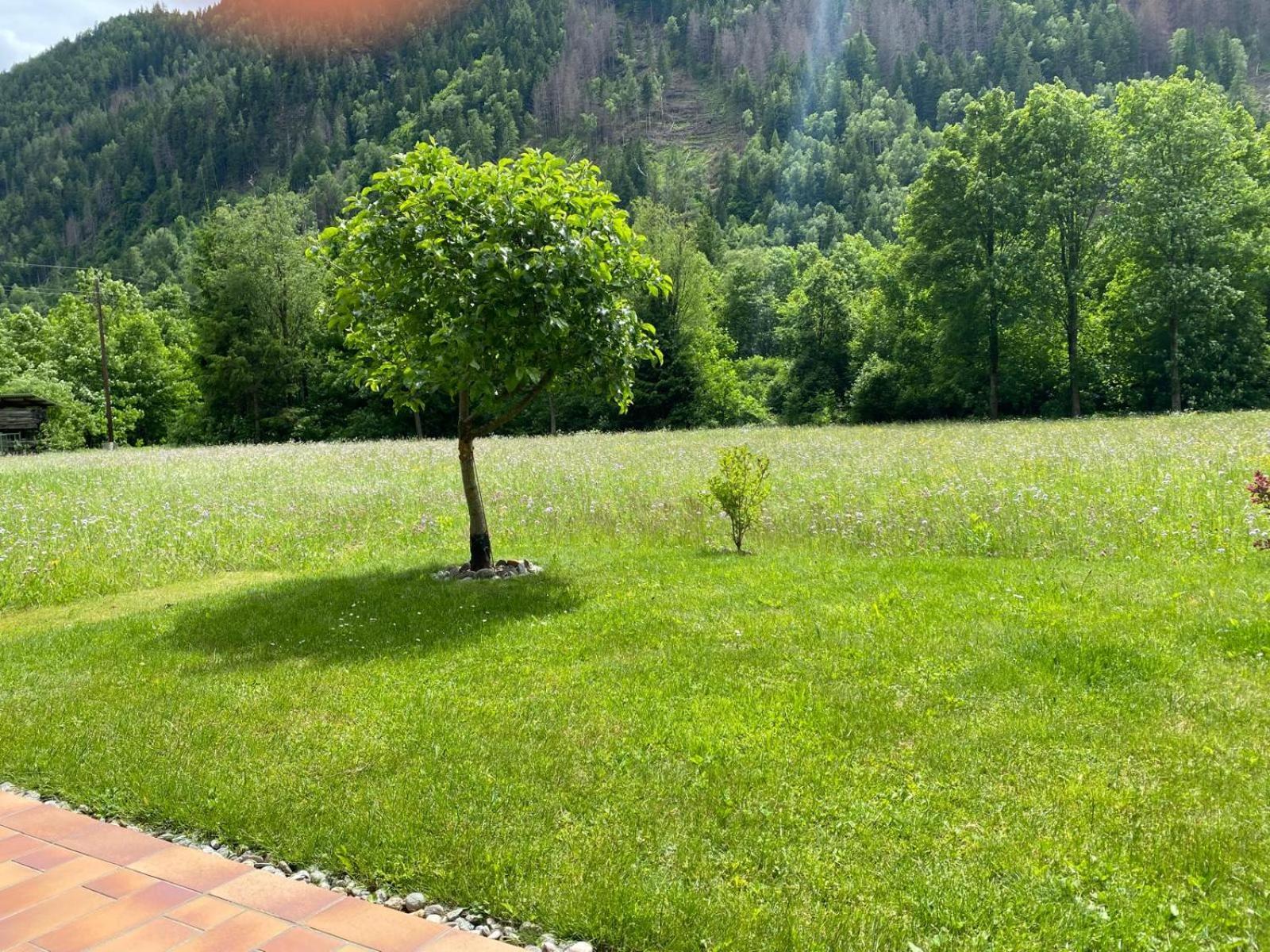 Appartement Dallavia Unterleibnig エクステリア 写真
